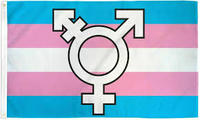 Stock 100% polyester 3 * 5ft Pride Support Transgender Trans Flag avec deux œillets