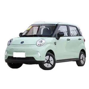 2023 Ling QIngzhao Pro Electric Mini Car 4 Wheel New Energy Vehicle Zhuo Wenjun Edition Hot Sale New Car