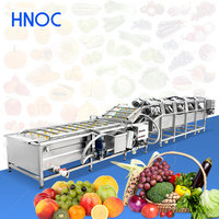 HNOC Sla- en fruitdrooglijn, tomaten-, mango- en groentewas- en droogmachine