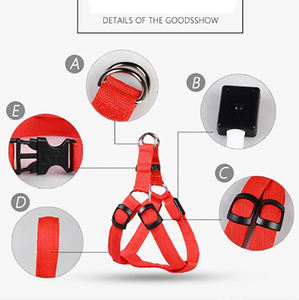 Tali payudara nilon LED, dapat diatur <span class=keywords><strong>Harness</strong></span> anjing tidak tarik kecil sedang bersinar aksesoris keselamatan malam anjing peliharaan - Product Image 4