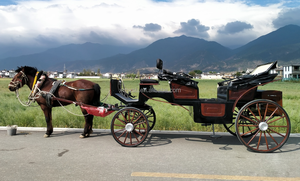 Vente directe usine – Prix usine abordable – Chariot de tourisme électrique sans chevaux 6 places - Product Image 5