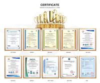 Service d'assemblage certifié ISO9001 avec fonction de test AOI par rayons X, HASL, OSP, immersion d'or, fabricant de circuits imprimés (PCBA) en contrat