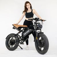 Vélo tout-terrain électrique 48V 1500W à double moteur 26 " - 20Ah batterie 30 ° pente escalade, gros pneu écran LCD E-Bike
