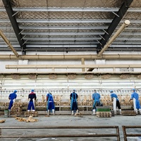 Machine d'abattage de volailles, ligne d'abattage de volailles, équipement d'abattoir, usine complète