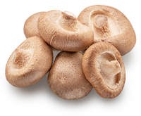 Meilleur prix pour l'extrait naturel de champignons de qualité alimentaire, poudre de champignons à 10%-50%