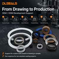 Sello Energizado por Resorte PEEK para Vástago de Cilindro Hidráulico, Sellado de PTFE Resistente al Calor, Ingeniería Personalizada Dlseals