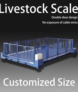 PXM Custom Size Farm Weighing Platforms Anti-Chewing Waterproof Electronic Floor Scale LCD/LED Double <strong>Door</strong> Livestock Scale - Product Image 3