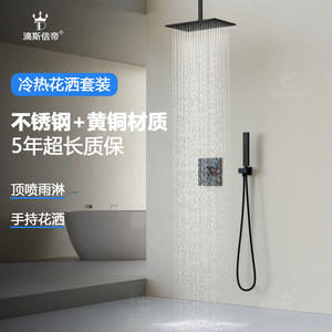 Disixindi Shower Set Stainless Steel Copper Hidden Valve Rainfall Handheld Matte Finish - Product Image 1
