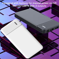 Banque d'Alimentation Portable 20000mAh Personnalisable, Mini Chargeur Rapide et Compact pour Extérieur et Tourisme