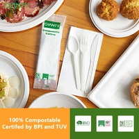 Kits de couverts jetables transparents en PLA pour repas en avion, cuillères, fourchettes et serviettes pour événements festifs