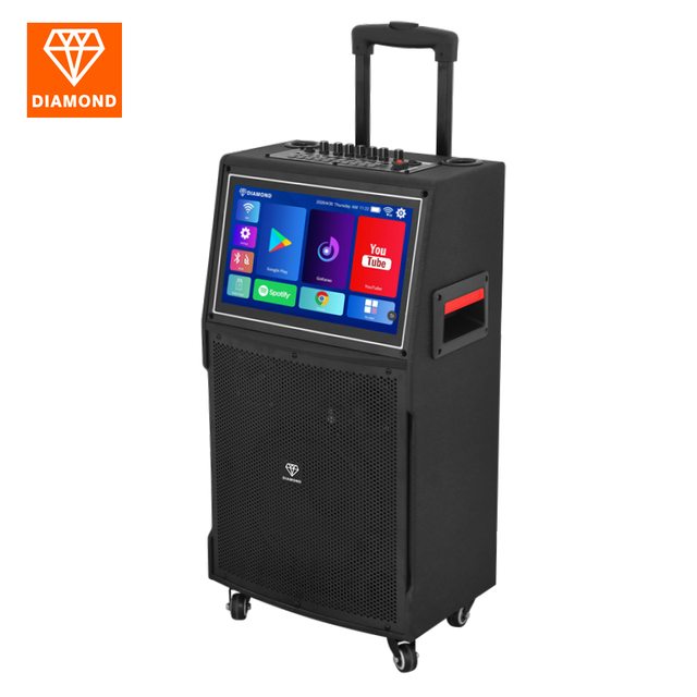 10'' Woofer Power Sound System Professional Karaoke Machine with 2.4G BT Microphone Portable Karaoke System with Touch Screen