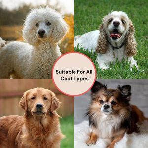 2024 nouveau professionnel toilettage <span class=keywords><strong>Slicker</strong></span> brosse produits de toilettage pour animaux de compagnie en bois brosse pour animaux de compagnie confort peinture <span class=keywords><strong>Slicker</strong></span> brosse pour chiens - Product Image 5
