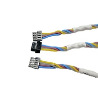Harnais de câblage pour portières de voiture et ordinateurs, personnalisable OEM, avec isolation PBT, indice de protection IP65, options OEM - Approvisionnement direct usine