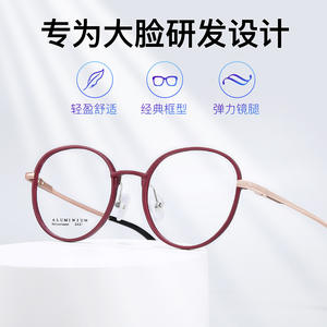 กรอบแว่นตาอะลูมิเนียมแมกนีเซียมอัลลอยด์รูปวงรี 2431 แบบเต็มกรอบ น้ำหนักเบา สำหรับผู้ใหญ่ทุกเพศ ทุกรูปหน้า - Product Image 5