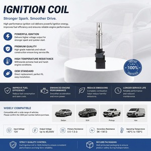 OEM 点火线圈 022905100B 适用于大众途锐 厂家直销全新汽车配件 022905100B - Product Image 4