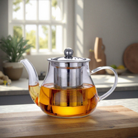 Théière en verre borosilicate de 20 oz (600 ml) de style américain, personnalisable avec un filtre en acier inoxydable, écologique, pour le café et le thé