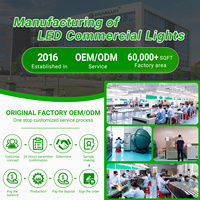 Projecteur LED 300W pour zone de stationnement et stade, DLC Premium, 3 températures de couleur commutables, 150LM/W, étanche, avec cellule photoélectrique