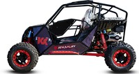 Kart de course 2 places KX300-2 300CC 4 temps à transmission par chaîne, faible MOQ, OEM