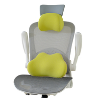 Coussin de massage lombaire orthopédique en mousse à mémoire de forme pour chaise de bureau, support de siège de voiture et appui-tête