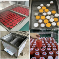Machine de pasteurisation et de stérilisation pour pots de cornichons, bocaux de classe et pots de yaourt/lait, de qualité industrielle