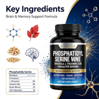 OEM Vente En Gros Complément Cérébral Nootropique Phosphatidylsérine 400mg Rhodiola L-Théanine Vitamine B6 Gélules Mémoire Focus