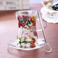 Tasse à café moderne en verre borosilicate à double paroi, avec fleurs séchées naturelles, soucoupe et cuillère, idéale pour les cadeaux