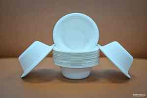 Plato redondo de bagazo biodegradable de 9 pulgadas, plato de pulpa de caña de azúcar desechable respetuoso con el medio ambiente, vajilla para fiesta, catering, restaurante - Product Image 3