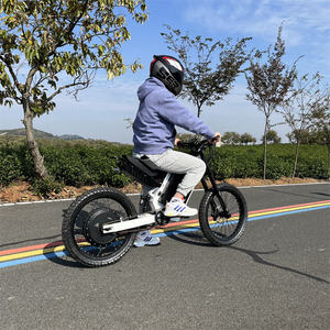 CS20 Electric Dirt Bike 48-72V 3000W-15000W 20 Inch Fat Tire Full Suspension Off Road <b>Ebike</b> SABVOTON Controller Adult <b>EBike</b> - Product Image 4