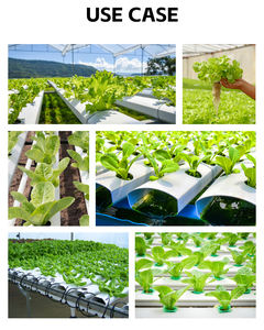 <span class=keywords><strong>Mousse</strong></span> <span class=keywords><strong>de</strong></span> plantation hydroponique à base <span class=keywords><strong>de</strong></span> <span class=keywords><strong>tourbe</strong></span> pour culture sans sol pour la culture hydroponique - Forme <span class=keywords><strong>de</strong></span> bloc - Product Image 3