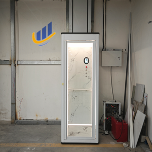 Ucuz fiyat kapalı pvc-taşlanmış 1 kişi ev tipi asansör çelik yapı küçük alan erişilebilir ev asansör - Product Image 4