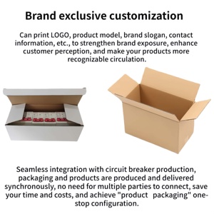 ANTIER RCBO 残留電流遮断器 1P+N 4P+N PVモーター電力分配 4.5kA OEM - Product Image 3