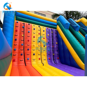 Mur d'escalade gonflable en PVC <span class=keywords><strong>de</strong></span> haute qualité, toboggan gonflable, mur d'escalade sec gonflable, toboggan d'escalade, parcours d'obstacles - Product Image 6
