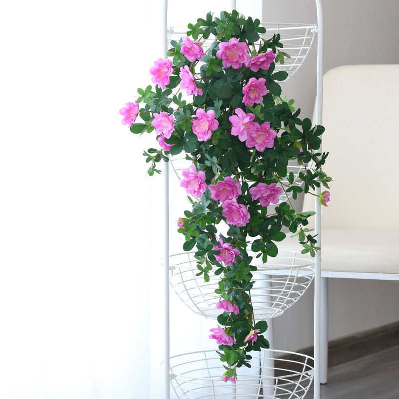 Fleurs violettes du parfum des dix milles