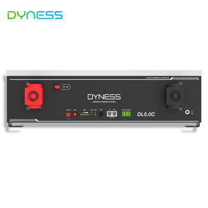 Baru dalam stok baterai lithium dyness dl5,0c DL5.0C-1C 5,12 kWh 48V 51.2V 100AH - Product Image 4