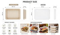 Boîte alimentaire en pulpe biodégradable, résistante à l'eau et à l'huile, avec couvercle en PP pour l'emballage de repas chauds