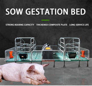 Équipement d'élevage porcin : <span class=keywords><strong>Lit</strong></span> de mise bas <span class=keywords><strong>pour</strong></span> truies, <span class=keywords><strong>Lit</strong></span> de mise bas double européen, Incubateur <span class=keywords><strong>pour</strong></span> porcelets, Caisses de mise bas <span class=keywords><strong>pour</strong></span> porcherie - Product Image 6