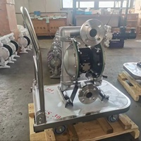 Offre Spéciale OEM pneumatique de pompe à diaphragme d'acier inoxydable personnalisable pour l'usinage de traitement des eaux usées d'industrie chimique