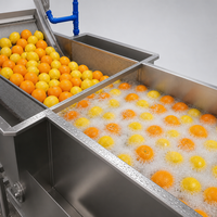 Ligne de traitement automatique clé en main pour jus d'agrumes, usine de production de jus d'orange NFC, machine d'extraction de jus de fruits