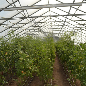 Quick-assembly Single-span Tunnel Greenhouse, Lightweight Durable Structure, All-climate Adaptive for Small-scale Planting - Product Image 4