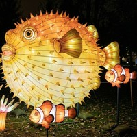 Decoración de Faroles con Forma de Animales Marinos para Parques de Atracciones, Uso en Interiores/Exteriores, Espectáculo de Luces para Parques Temáticos
