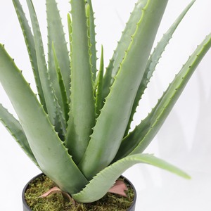 Plantas Artificiales <span class=keywords><strong>de</strong></span> Aloe <span class=keywords><strong>Vera</strong></span> al por Mayor, Plantas Suculentas en Maceta para Decoración <span class=keywords><strong>de</strong></span> Interiores - Product Image 5