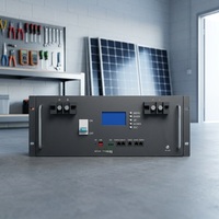 Batería de ciclo profundo LiFePO4 de 51.2V 100Ah 5kWh, 6000+ ciclos, paquete de baterías de iones de litio para almacenamiento solar montado en rack