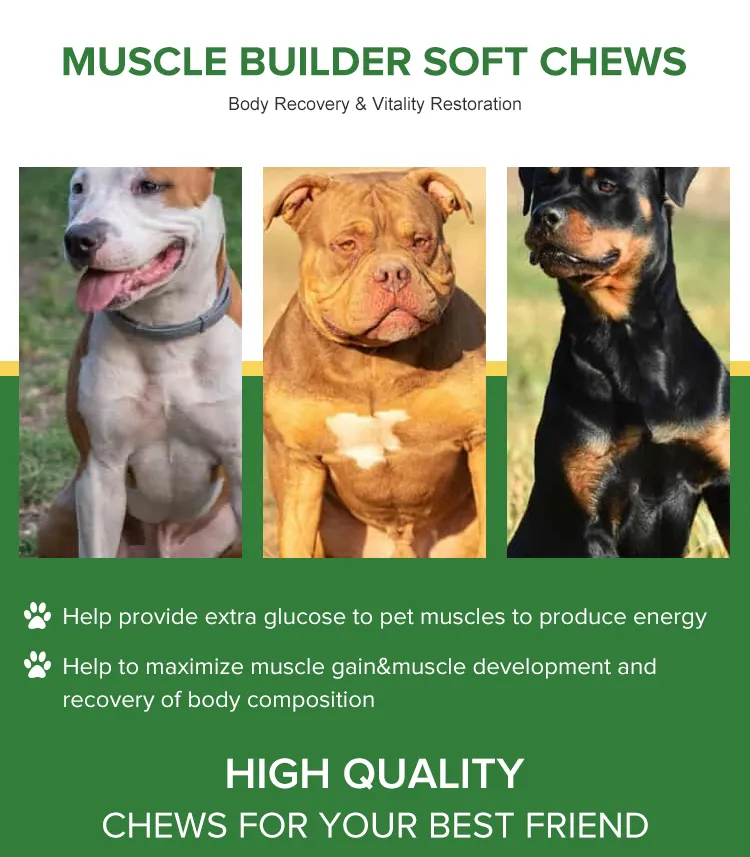 Pettisup OEM, golosinas para ganar músculo con sabor a ternera, soporta el crecimiento de proteínas, masticables suaves, potenciador de músculos, masticables suaves para perros