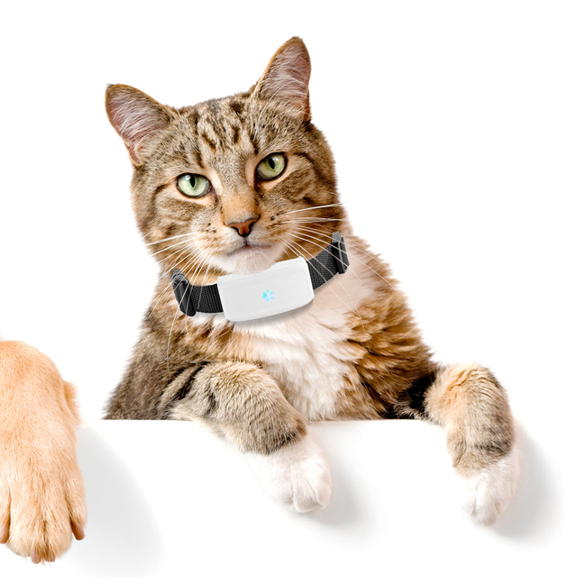 4G GPS Tracker Dog Pet Tracker Gps Dog Tracking Collar With Light and Sound for Finding Dog/cat Winnes TKSTAR