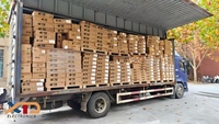 900324-4 TE Connectivity Tyco Deutsch, Entrega Rápida, Precio Competitivo, Arnés de Cables Automotrices Originales, Fábrica CN