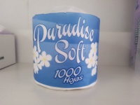 Papier toilette jetable en pâte de bois personnalisé à prix d'usine, fabriqué en Chine, avec logo personnalisé