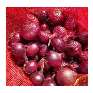 2022 mejor venta de alta calidad y maravilloso deliciosa verduras frescas rojo de cebolla de Egipto para la exportación