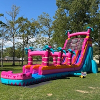 Fournitures de fête, aire de jeux extérieure en PVC, château gonflable commercial pour enfants, château gonflable avec toboggan aquatique pour adultes