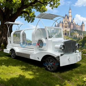 Electric Funeral Car Manufacturer/High Quality Chariot Hearse for Funeral / Hearse Carriage for Sale - Product Image 1
