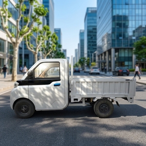 Véhicule électrique robuste personnalisé, camionnette électrique, voiture électrique à 4 roues, petit véhicule électrique - Product Image 3